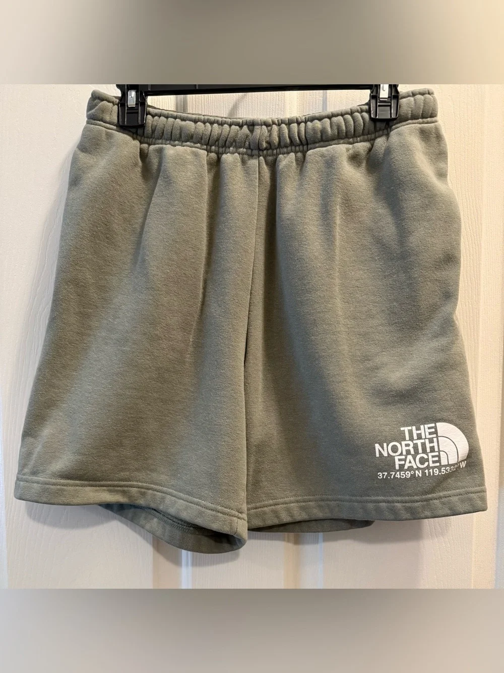 The North Face Men's Olive Green Fleece Athletic Shorts